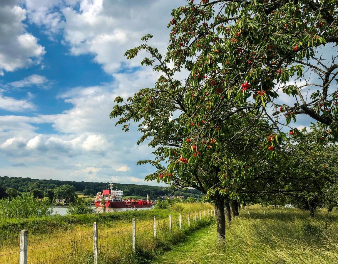 Maison Normande Au Bord De Seine, Le Verger De Pacome Anneville-Ambourville Buitenkant foto